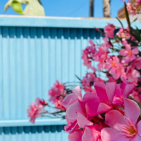 Mirabelle , Torresangiovanni Marina Di Ugento Holiday home